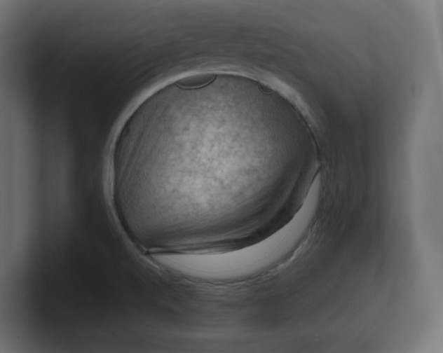 X0000100371520200806271434