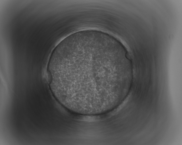 X0000100371521200806271434