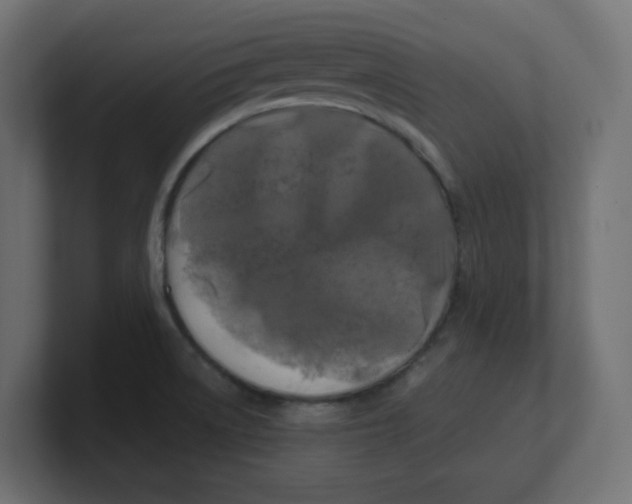 X0000100371522200806271434