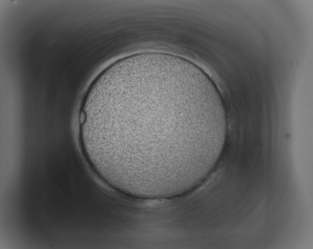 X0000100371523200806271434