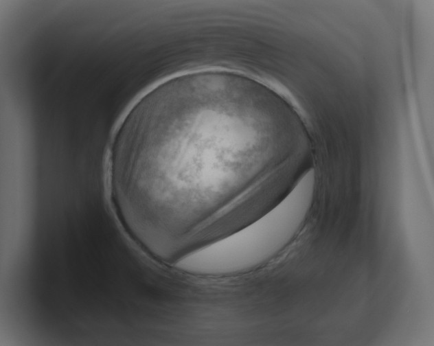 X0000100371524200806271434