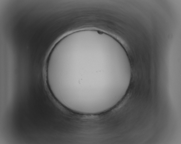 X0000100371526200806271434