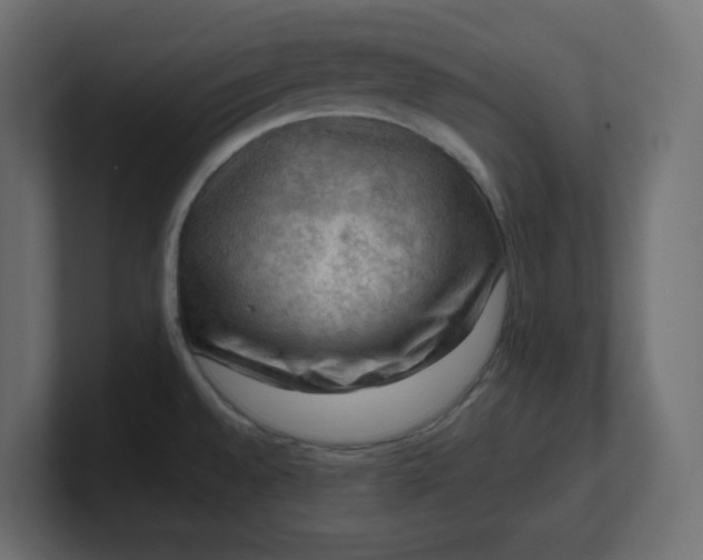 X0000100371528200806271434