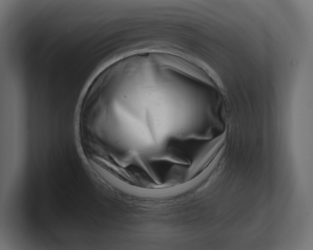 X0000100371530200806271434