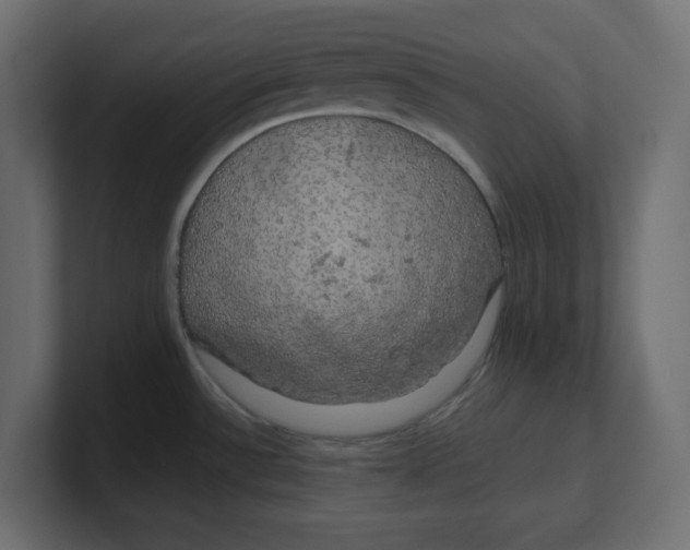 X0000100371532200806271434