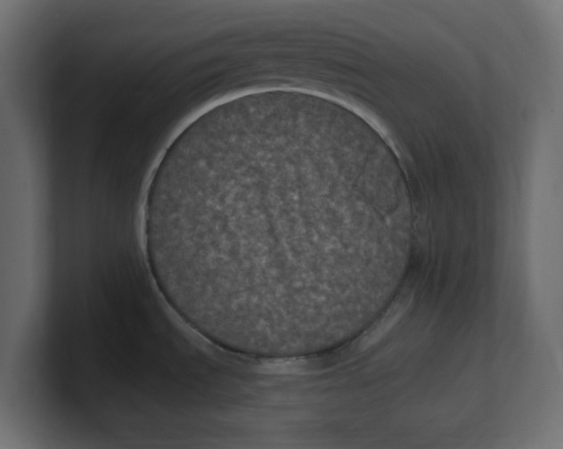 X0000100371535200806271434