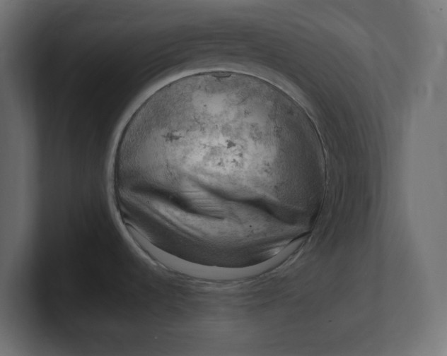 X0000100371536200806271434