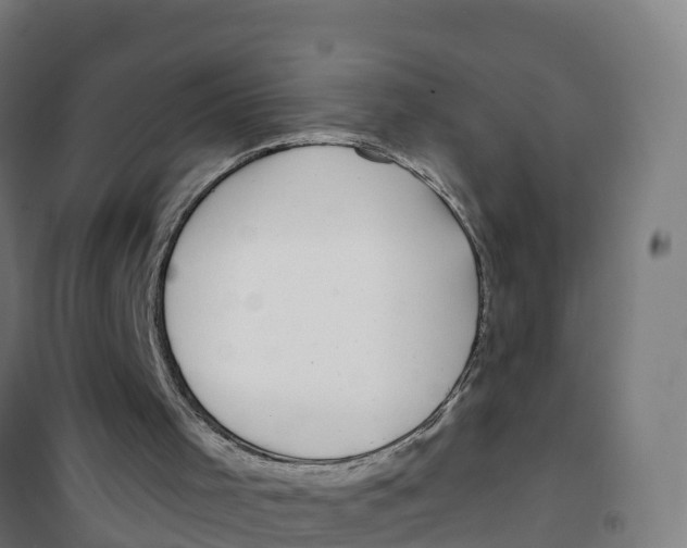 X0000100370001200807031913