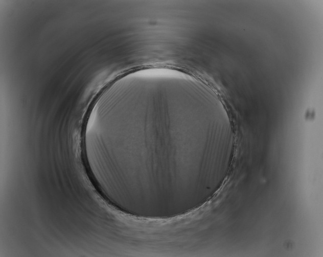 X0000100370002200807031913