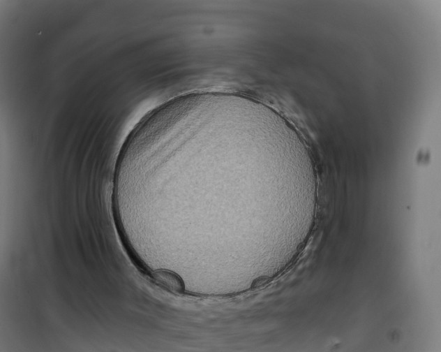 X0000100370003200807031913