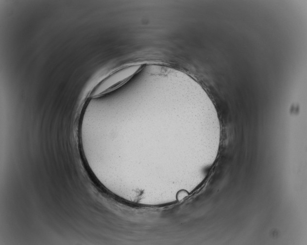 X0000100370004200807031913