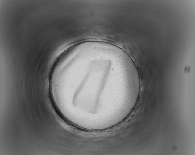 X0000100370005200807031913