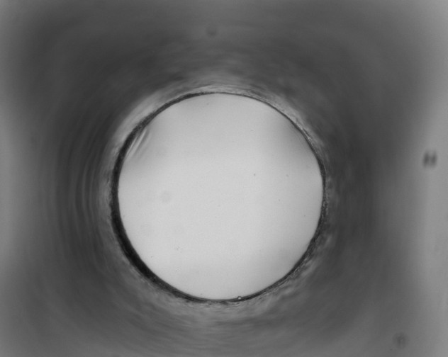 X0000100370007200807031913