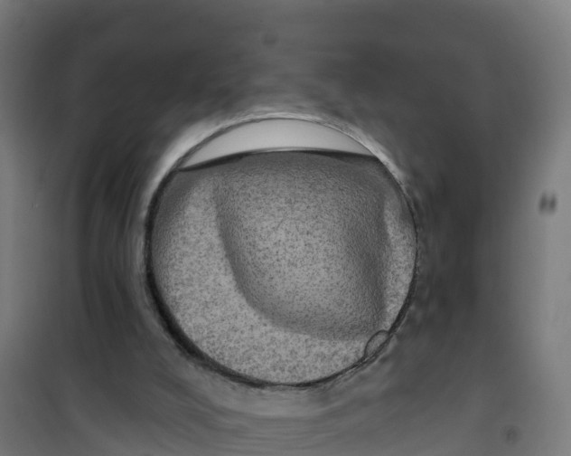 X0000100370008200807031913