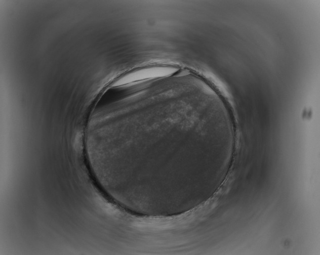 X0000100370009200807031913