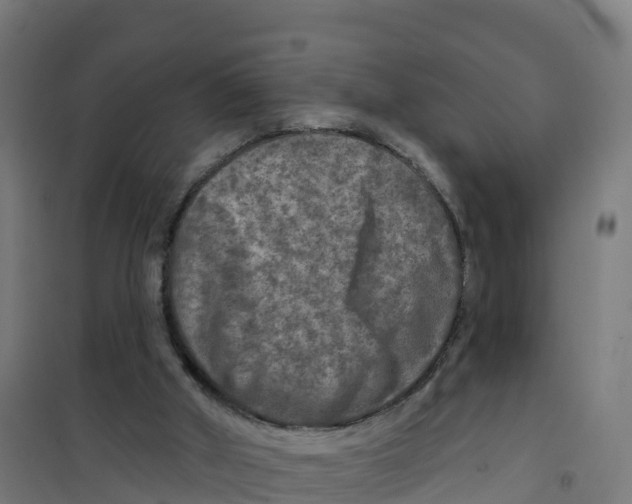 X0000100370010200807031912