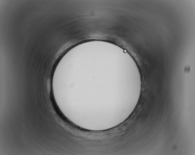 X0000100370011200807031912