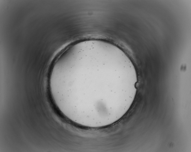 X0000100370012200807031912