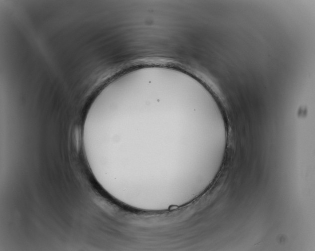 X0000100370013200807031912