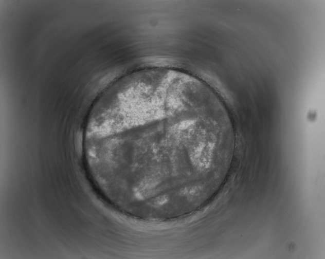 X0000100370014200807031912