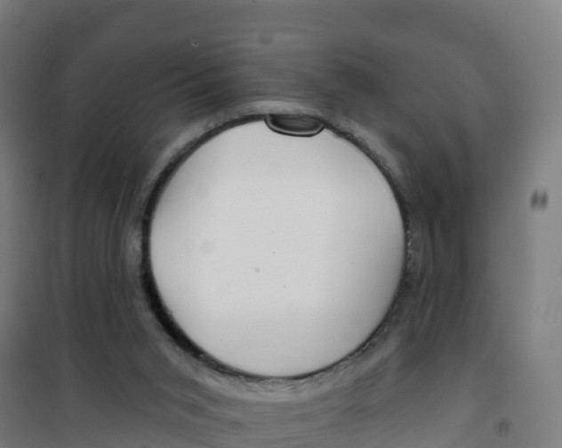 X0000100370015200807031912