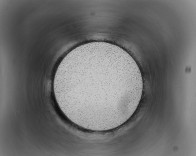 X0000100370016200807031912