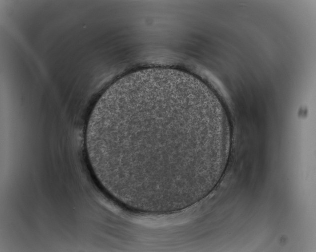 X0000100370017200807031912