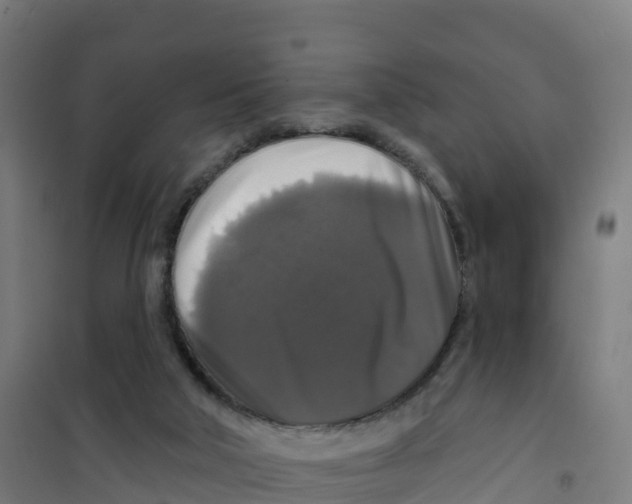 X0000100370018200807031912