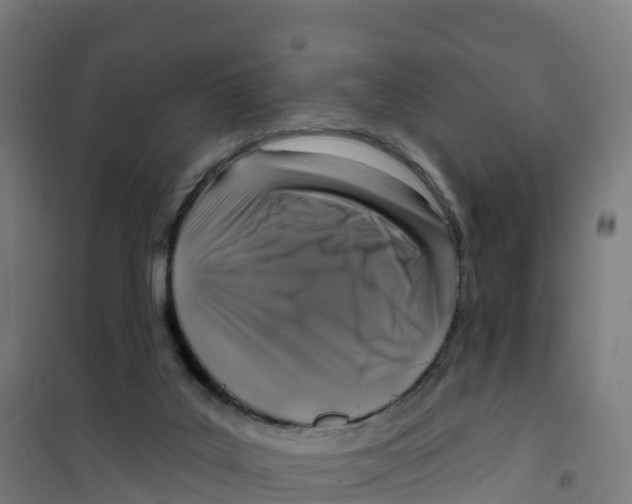 X0000100370019200807031912