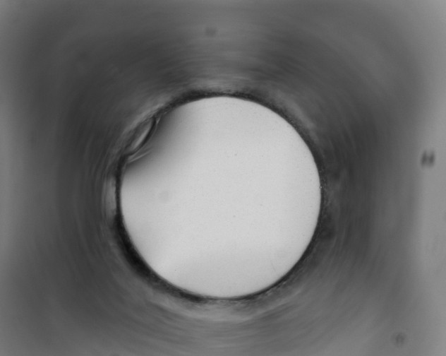 X0000100370020200807031912