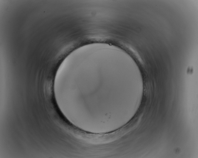 X0000100370023200807031912