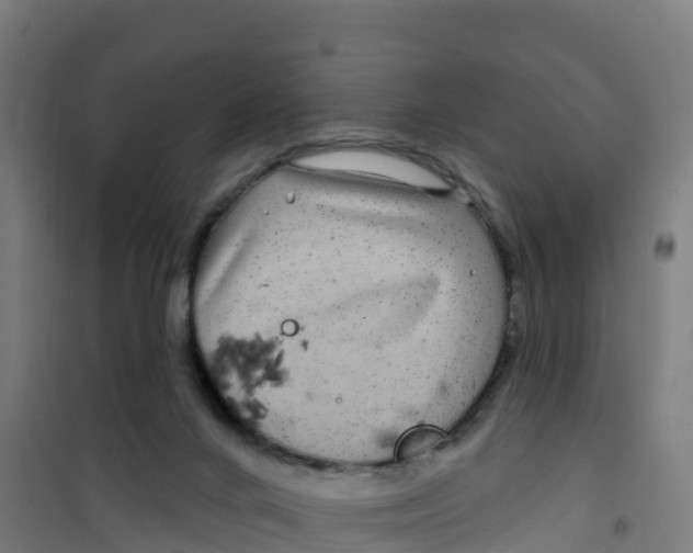 X0000100370024200807031912