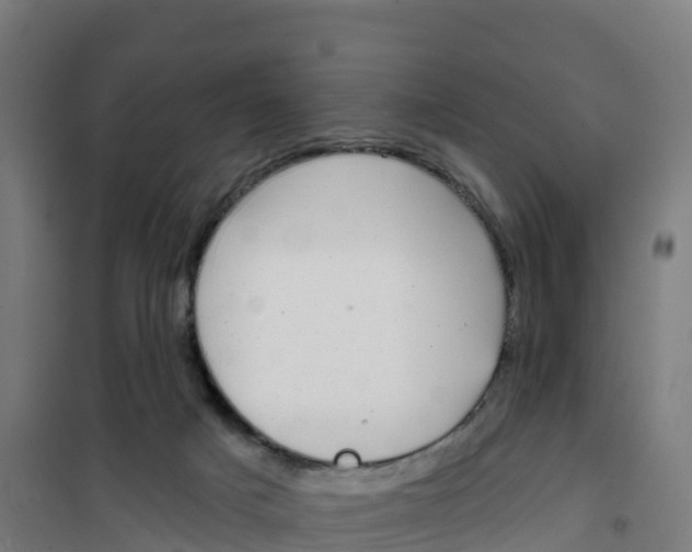 X0000100370025200807031912