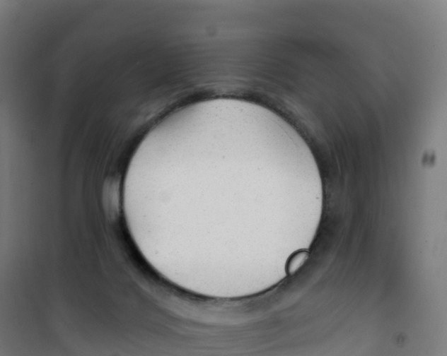 X0000100370028200807031912