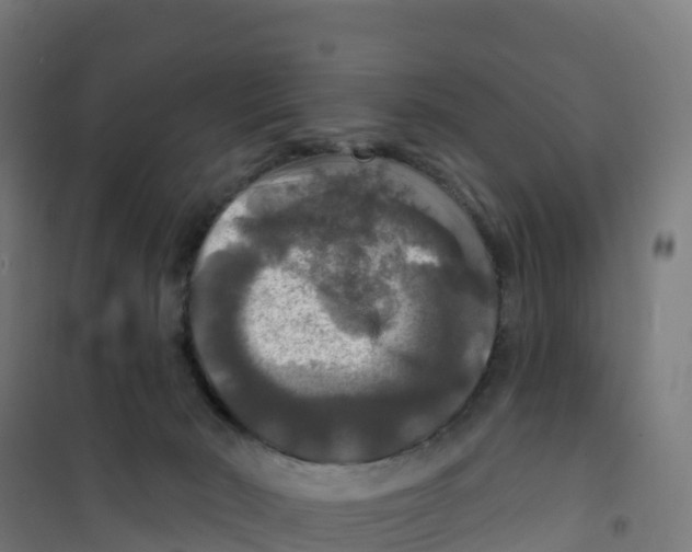 X0000100370030200807031912