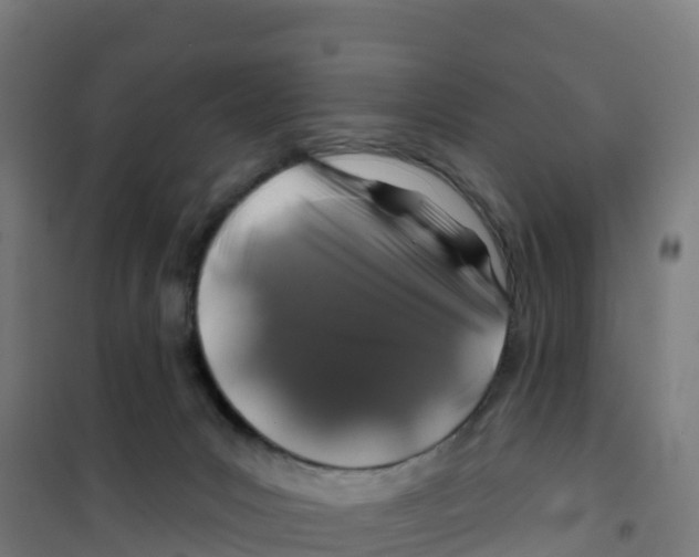 X0000100370031200807031912