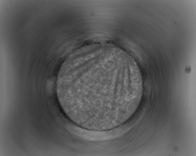 X0000100370034200807031912