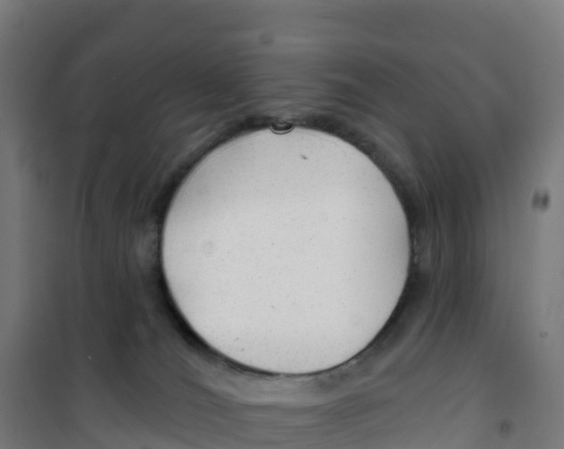 X0000100370036200807031912