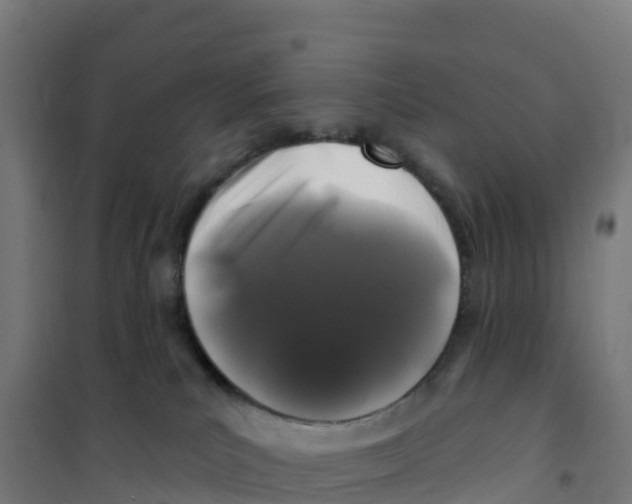 X0000100370039200807031912