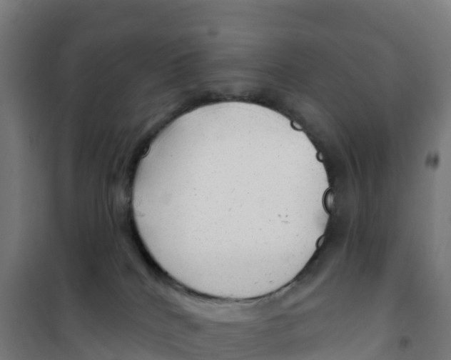 X0000100370040200807031912