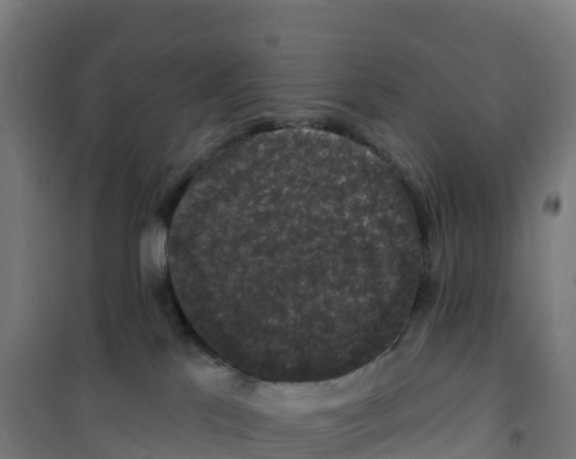 X0000100370041200807031912