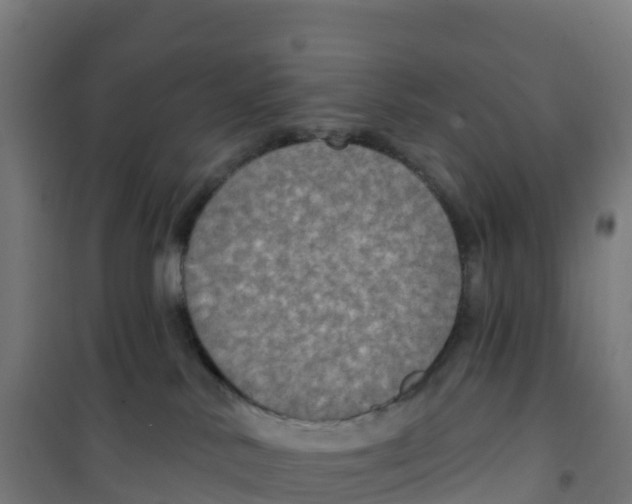 X0000100370042200807031912