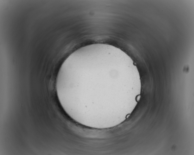 X0000100370044200807031912