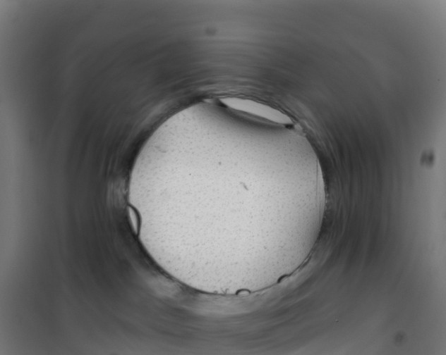 X0000100370045200807031912