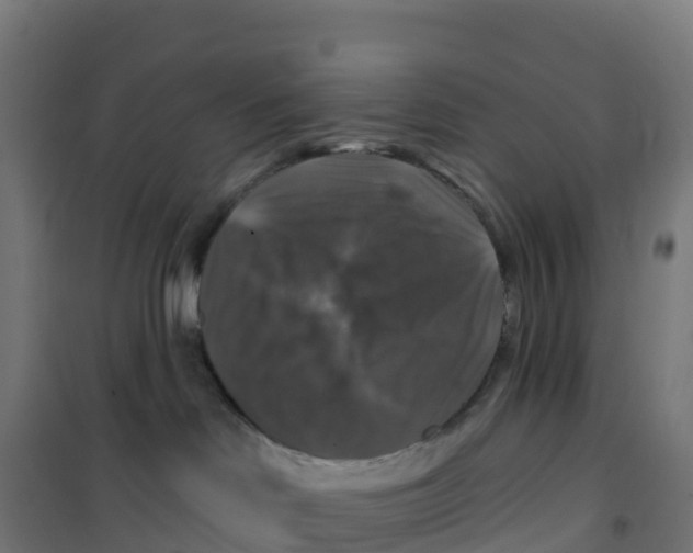 X0000100370046200807031912