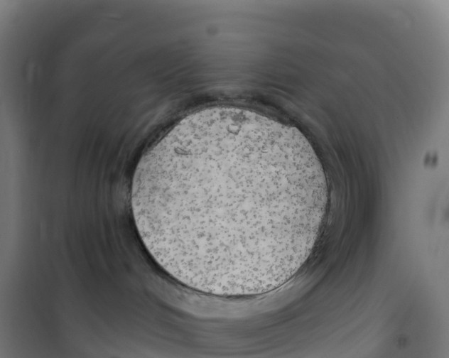 X0000100370048200807031912