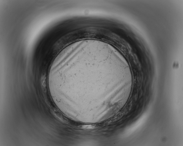 X0000100370050200807031911