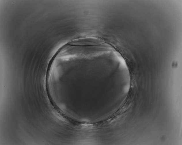 X0000100370052200807031911