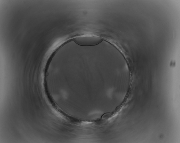 X0000100370055200807031911