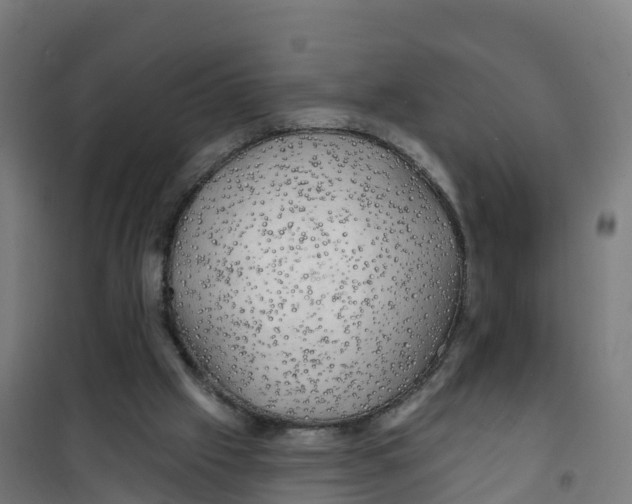 X0000100370057200807031911